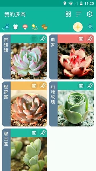 多肉成长记录 v5.0.0 安卓版 3