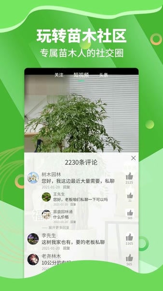 苗木通手机版 v6.3.1 安卓版 2