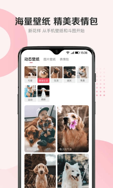 68宠物官方版 v6.14.0 安卓版 2