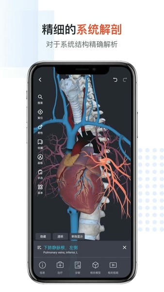 口袋人体解剖最新版 口袋人体解剖官方版