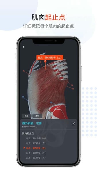 口袋人体解剖手机版 v3.0.9 安卓版 0