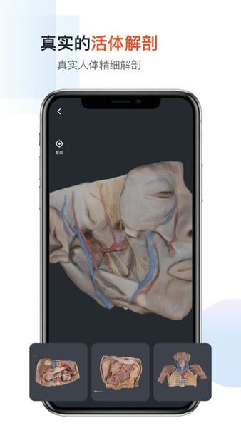 口袋人体解剖手机版 v3.0.9 安卓版 1