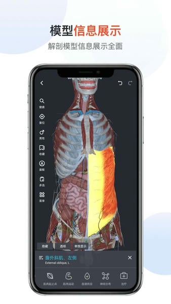 口袋人体解剖手机版 v3.0.9 安卓版 2