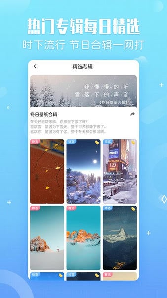 小鸟壁纸手机版下载