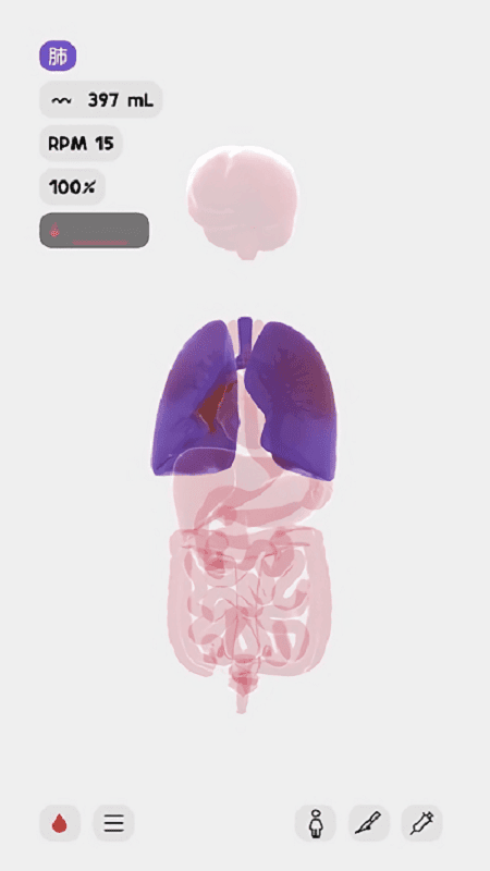 life生命模拟器 life生命模拟器汉化版下载