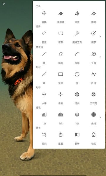 painter官方正版下载 painter软件下载