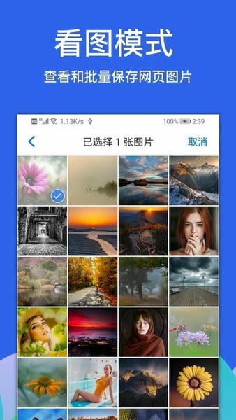Alook浏览器手机版app v11.0 安卓版 2