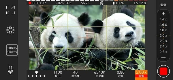 promovie专业摄像机官方正版 promovie专业摄像机app