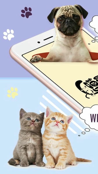 猫狗语翻译器免费版 v2.5 安卓中文版 2