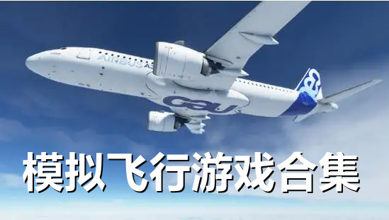 模拟飞行游戏