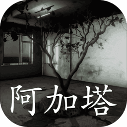 孙美琪疑案阿加塔最新版