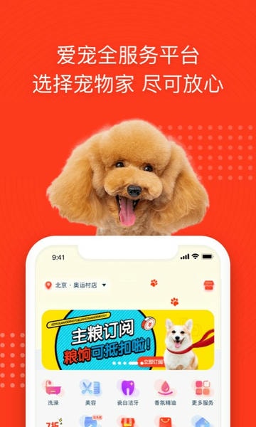 宠物家官方版 v5.9.620 安卓版 2