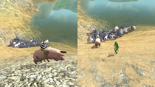 amazingfrog