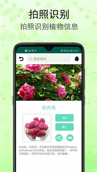 识花草app v1.3.1 安卓版 0
