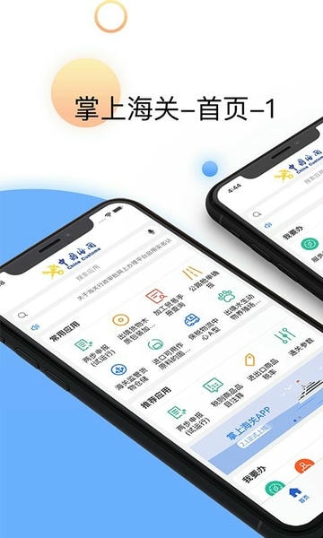 掌上海关app官方版 v5.0.1 安卓版 0