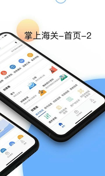 掌上海关app官方版 v5.0.1 安卓版 1