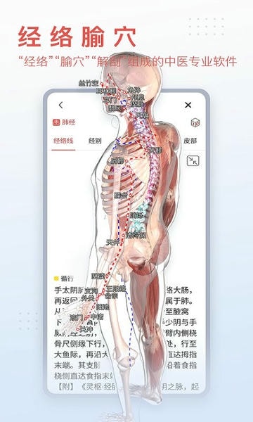 3dbody解剖app免费版 v8.9.30 安卓最新版 0