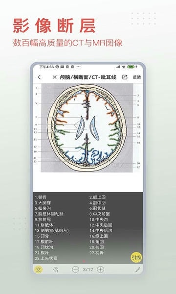 3dbody解剖app免费版 v8.9.30 安卓最新版 1