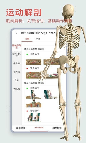 3dbody解剖app免费版 3dbody人体解剖学app下载