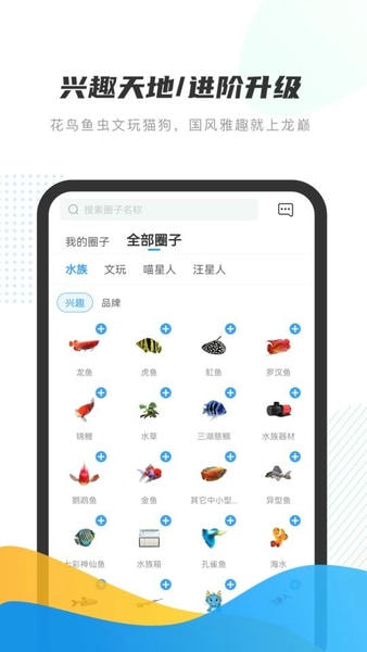 龙巅水族论坛app 龙巅手机版下载