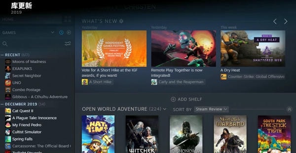 Steam For Linux v1747701111 官方正式版 0