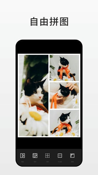 Fotor照片编辑器app v8.2.8.1 安卓版 2