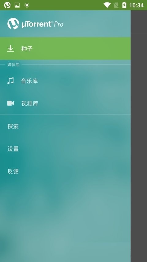 utorrentpro汉化版 utorrent pro手机安卓版