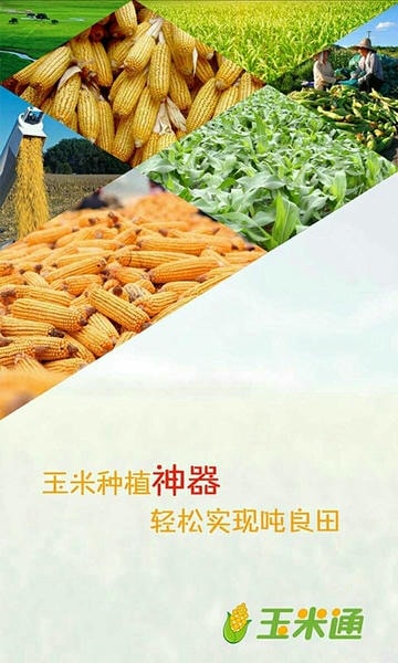 玉米通最新版 玉米通官方版