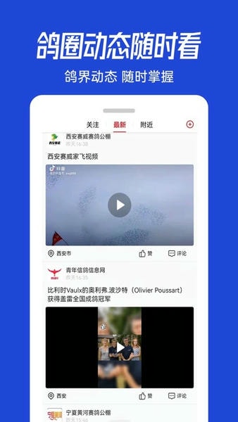 青鸽网查询 v4.2.0 安卓版 1