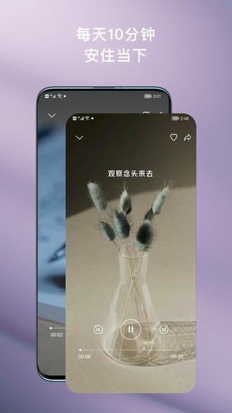 FLOW冥想手机版 v26.07.23 安卓版 2