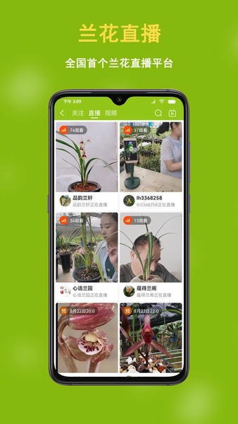 兰花交易网app v6.3.5 安卓版 0
