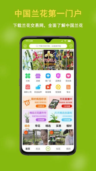 兰花交易网app 中国兰花交易网手机版