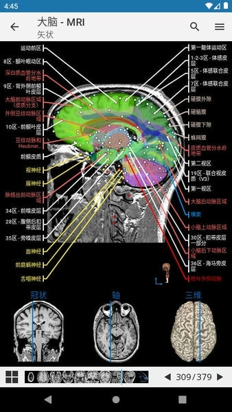 e-anatomy中文免费版 v7.9.2 安卓版 1