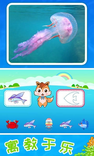 儿童宝宝海洋世界官方版 v4.63.4n 安卓版 2