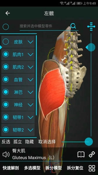 医维度3d人体解剖 v3.1.1 安卓版 0