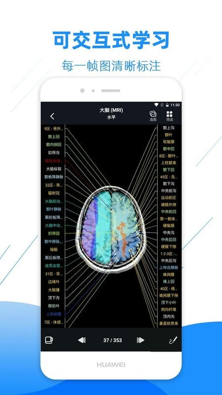 影像解剖图谱官方版 v4.6.5 安卓版 0