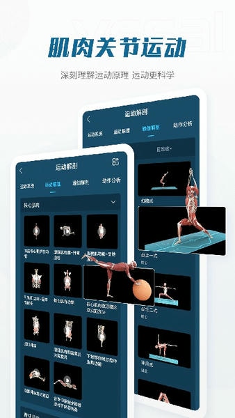 解剖大师免费版 v5.3.1 安卓官方版 1