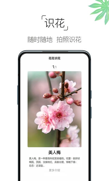 养花大全 养花大全app下载安装