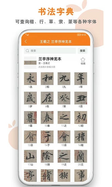 桔舍官方版 桔舍app