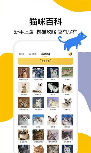 猫语翻译免费版 v1.6 安卓最新版 0