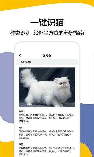 猫语翻译免费版 v1.6 安卓最新版 1