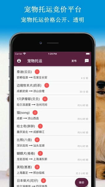 宠物托运平台手机版 v2.6.1 安卓版 3