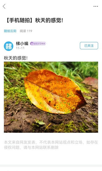 云阳梯城网 v5.4.2 安卓版 1