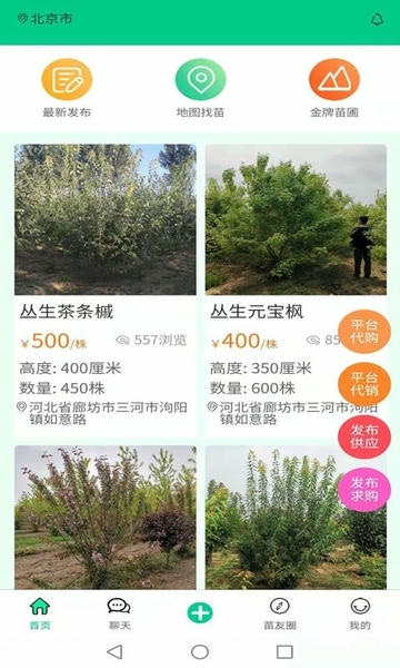 苗木人客户端 v6.7.3 安卓版 1