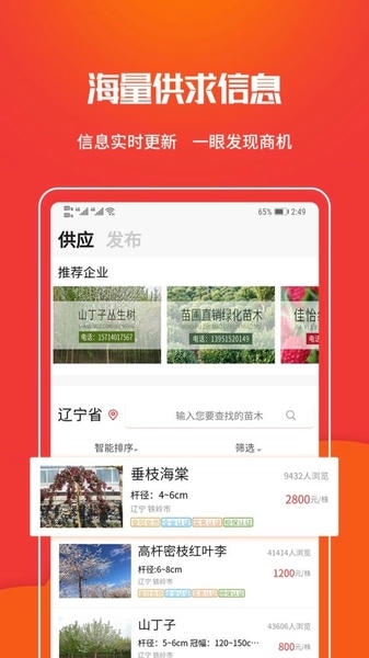 苗木网客户端 v1.3.0 安卓版 1