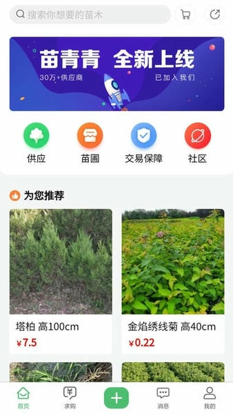 苗青青app v2.0.30 安卓版 0