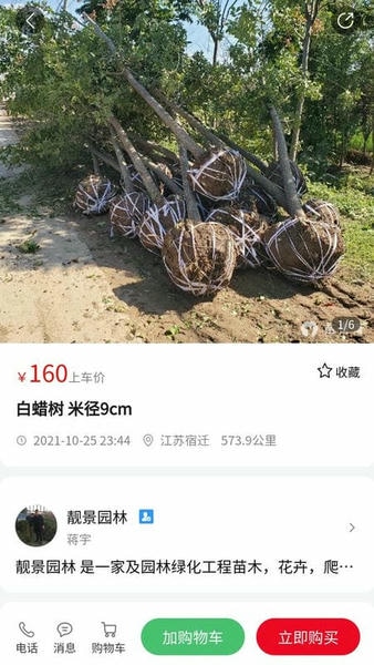 苗青青app v2.0.30 安卓版 2