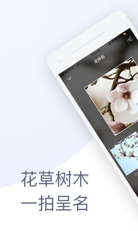 植物识别花伴侣手机版 v3.2.23 安卓版 0