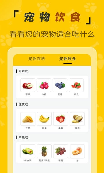 人猫翻译机app下载