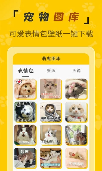 人猫翻译机免费版 v3.3.1 安卓版 3